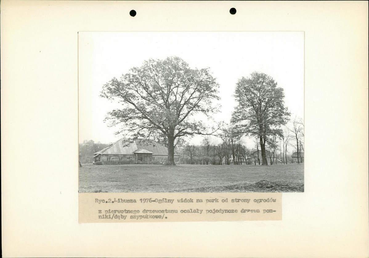 EP - Ewidencja parkowa, skan nr 10