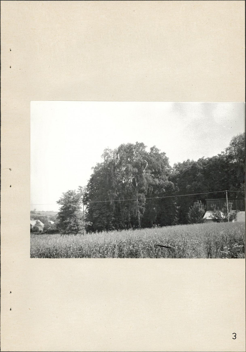 Ewidencja parkowa, skan nr 26