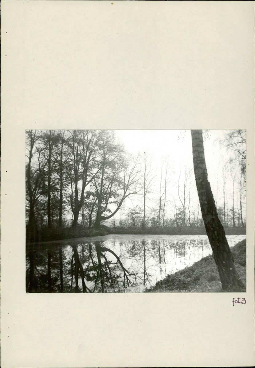 Ewidencja parkowa, skan nr 16