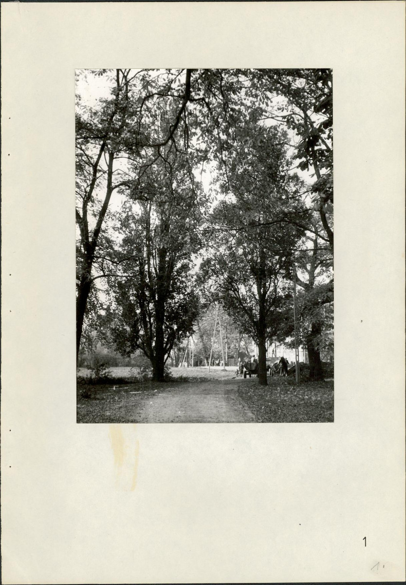 Ewidencja parkowa, skan nr 23