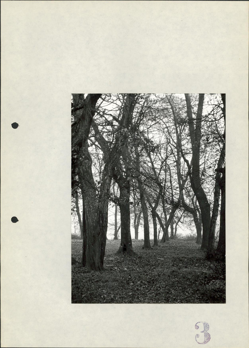 Ewidencja parkowa, skan nr 25