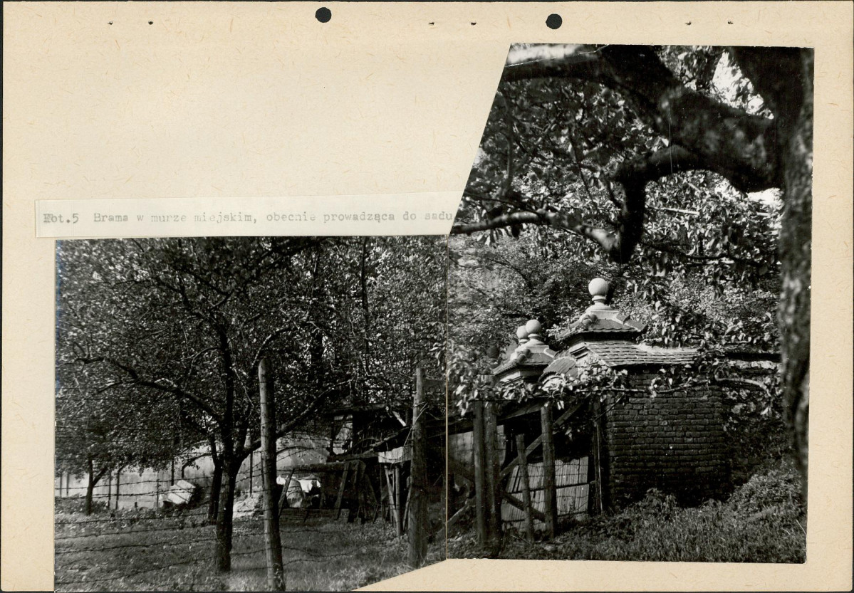 Ewidencja parkowa, skan nr 33