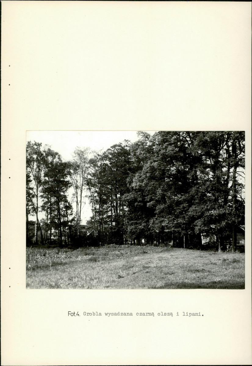 EP - Ewidencja parkowa, skan nr 38