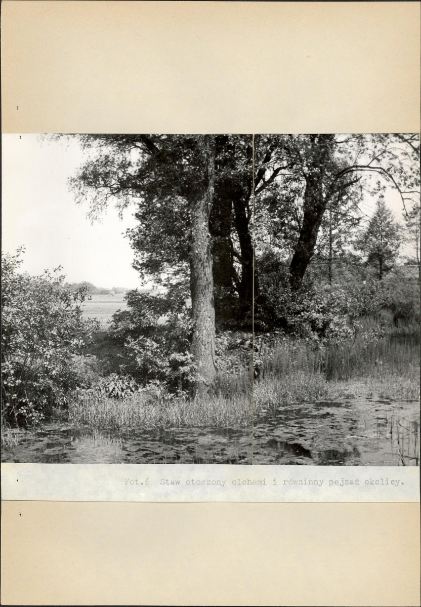 Ewidencja parkowa, skan nr 40