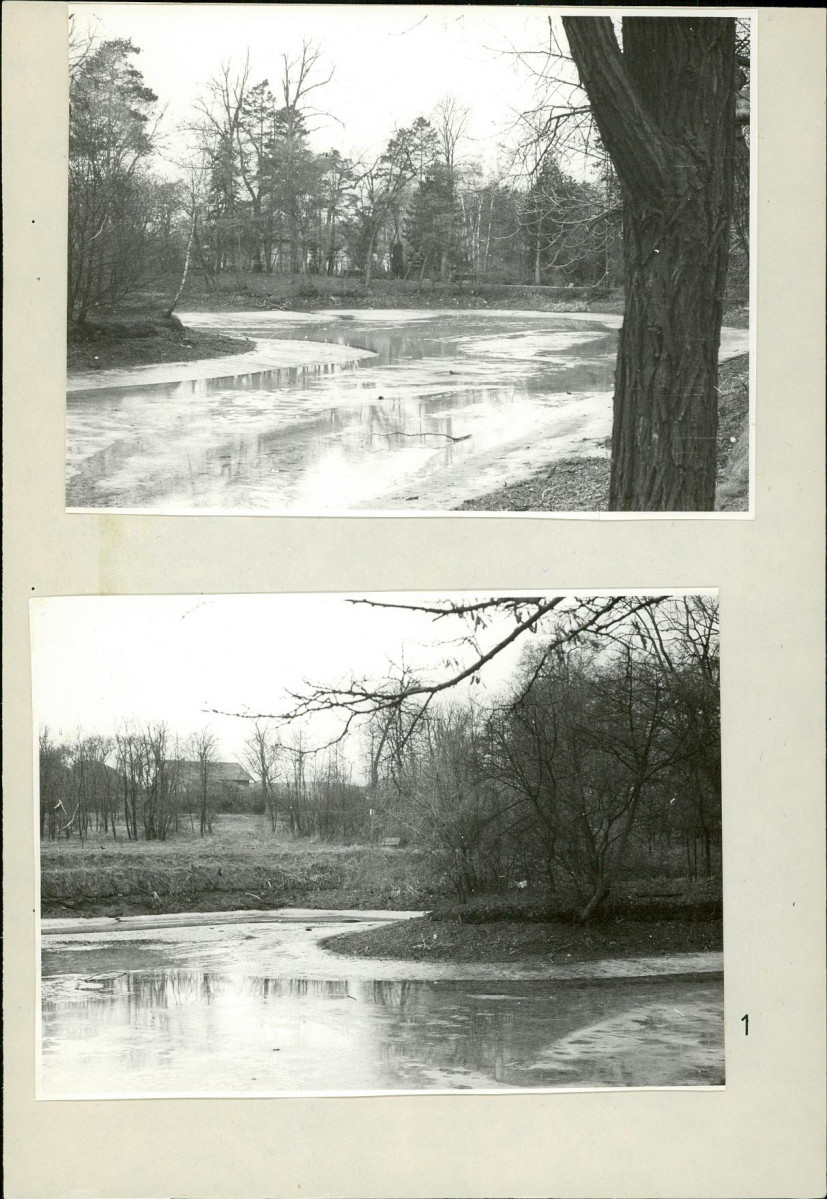 Ewidencja parkowa, skan nr 33