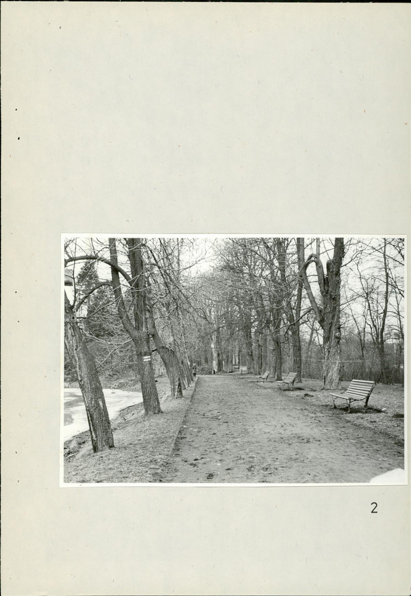 Ewidencja parkowa, skan nr 34