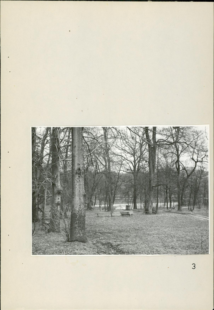 Ewidencja parkowa, skan nr 35