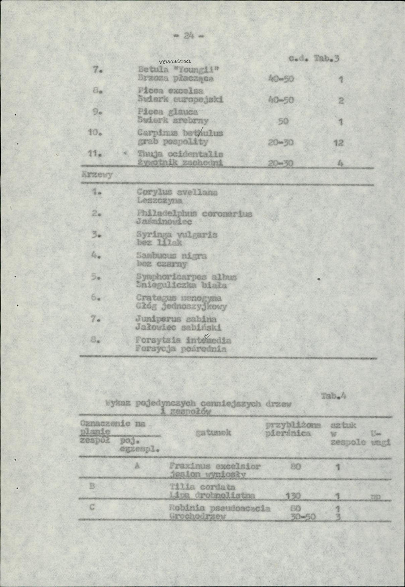 Ewidencja parkowa, skan nr 36