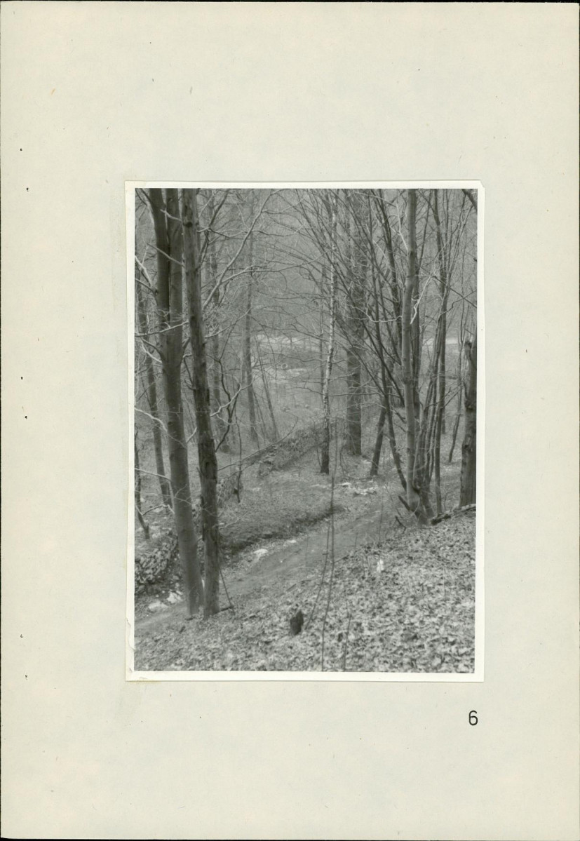 Ewidencja parkowa, skan nr 67