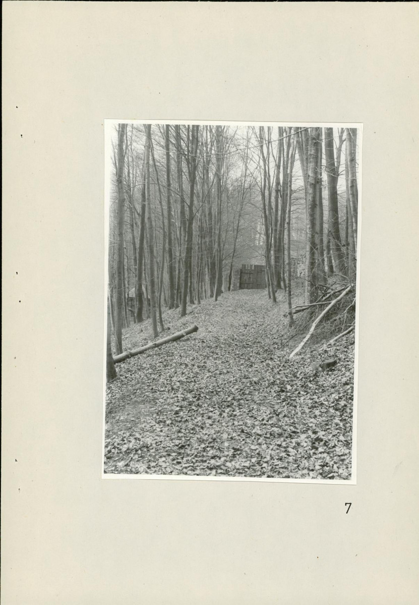 Ewidencja parkowa, skan nr 68