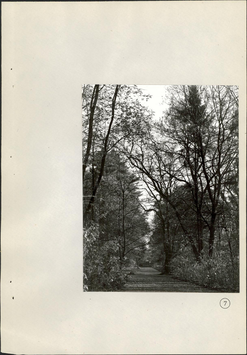 Ewidencja parkowa, skan nr 52