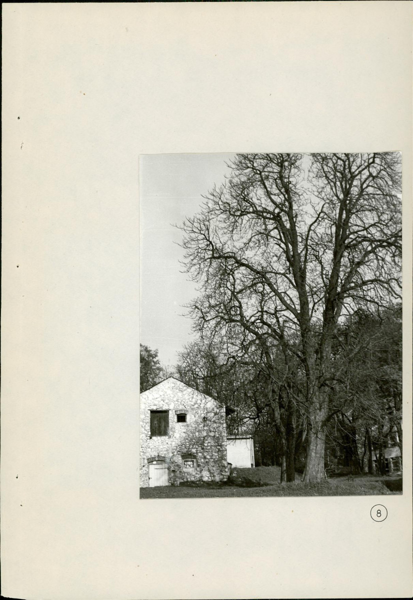 Ewidencja parkowa, skan nr 53