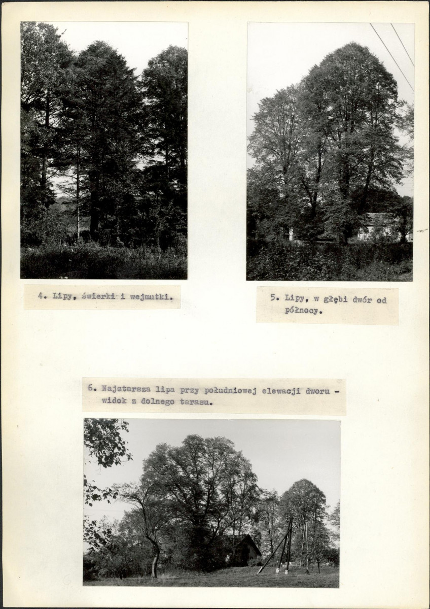 Ewidencja parkowa, skan nr 14