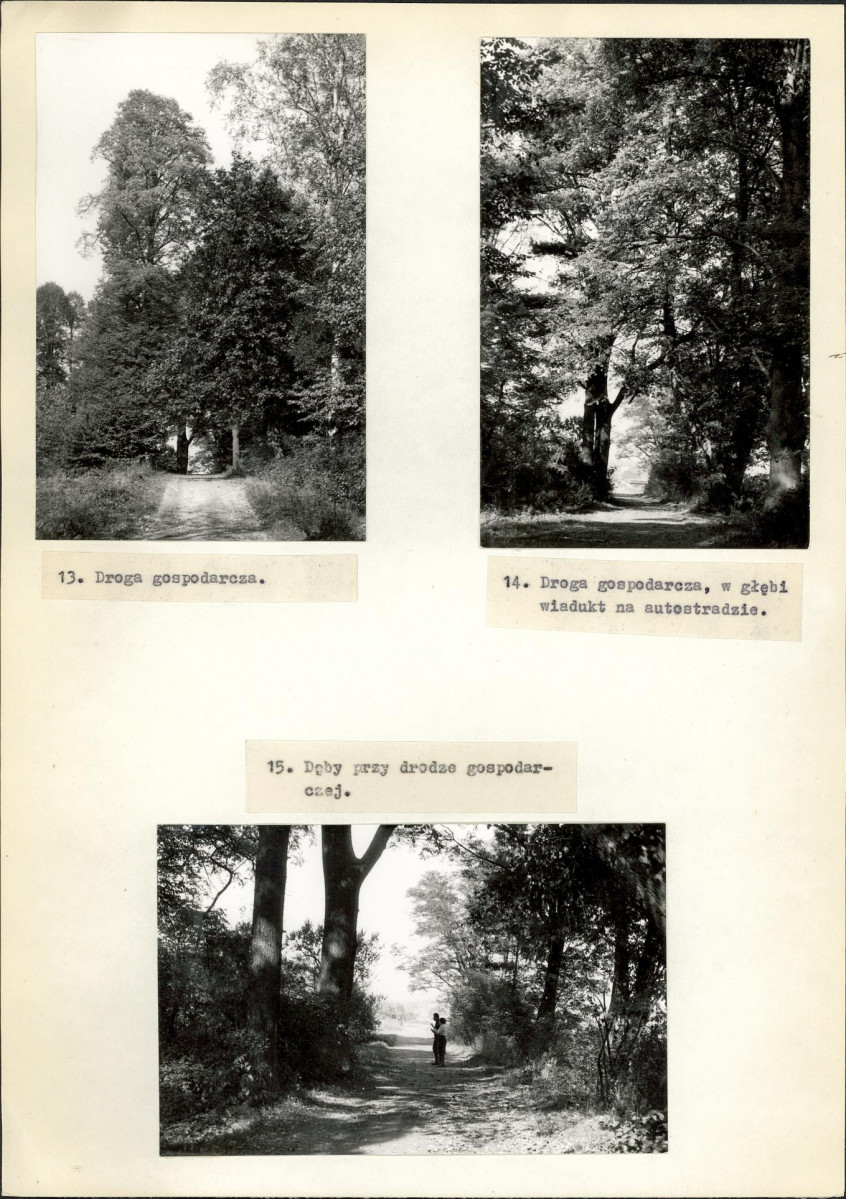 Ewidencja parkowa, skan nr 17