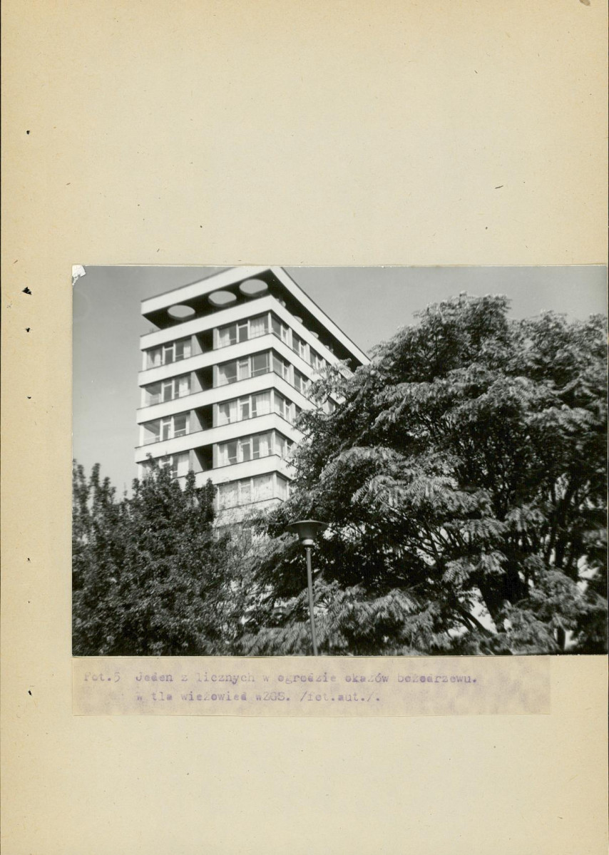 Ewidencja parkowa, skan nr 47