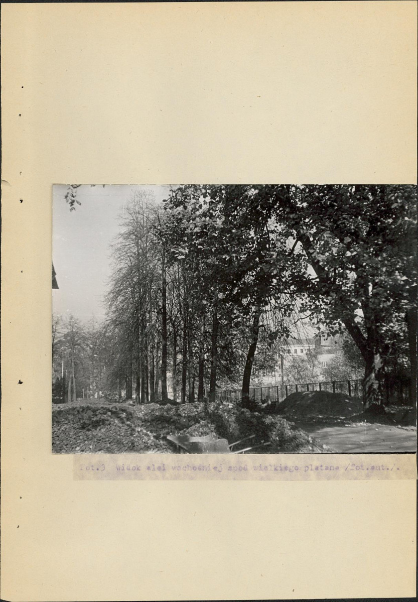 Ewidencja parkowa, skan nr 34