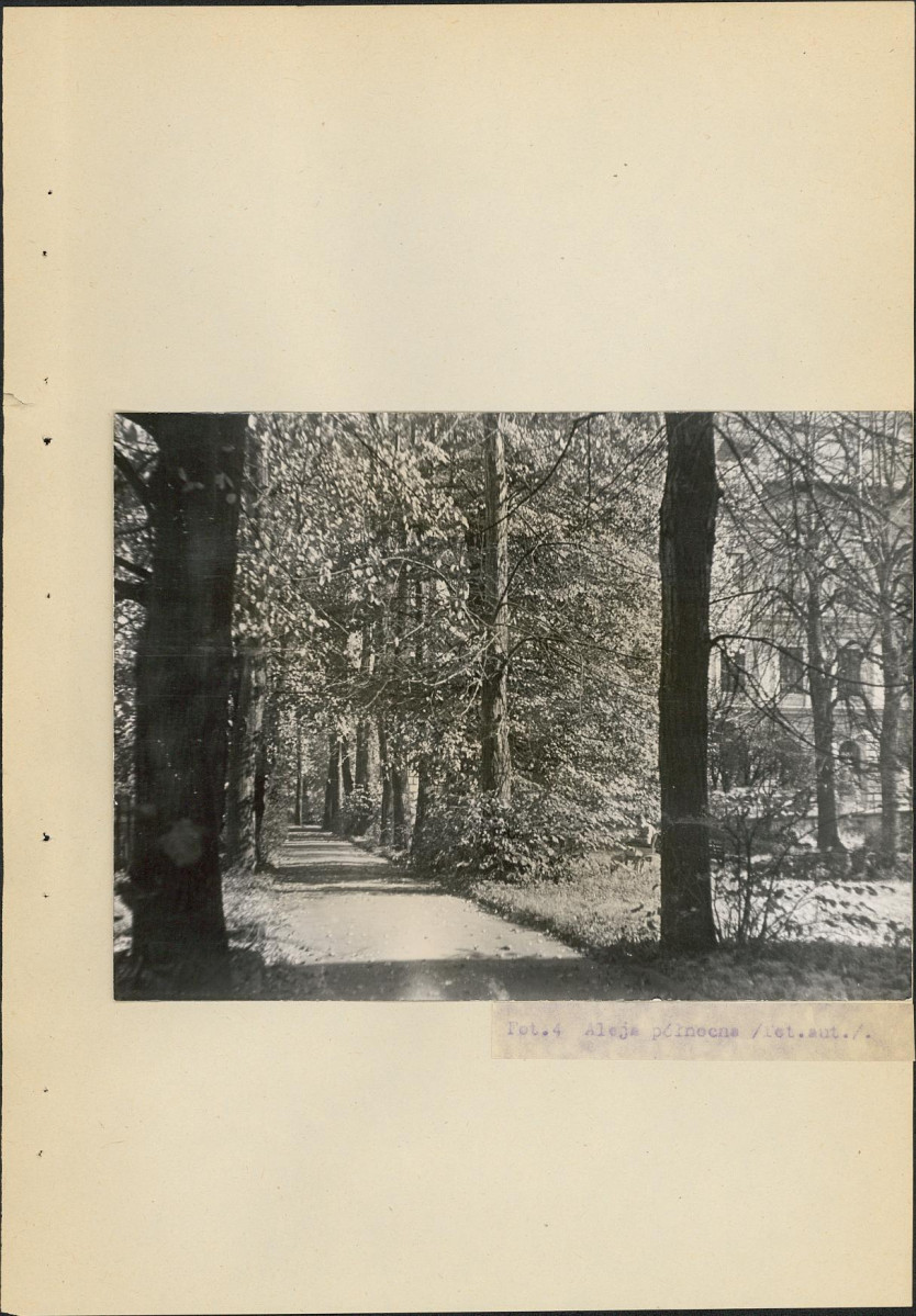 Ewidencja parkowa, skan nr 35