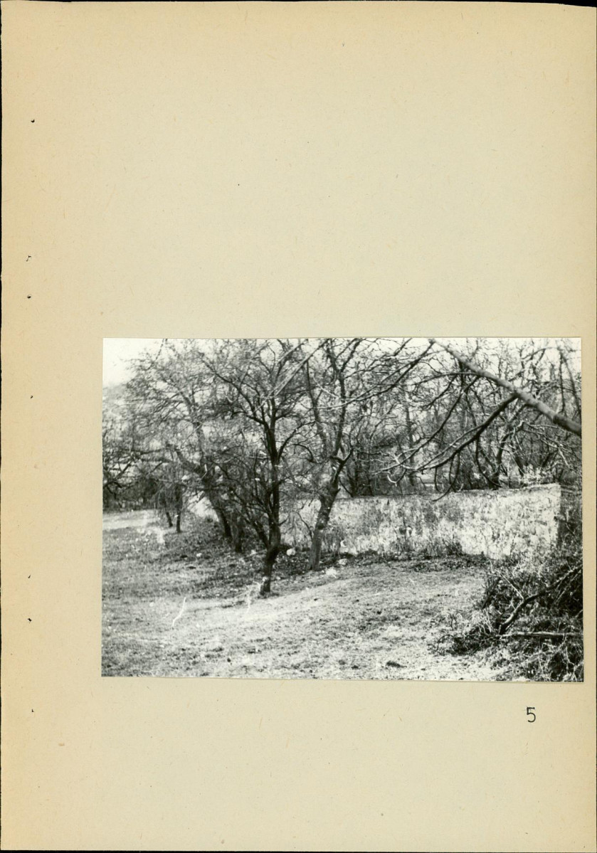 Ewidencja parkowa, skan nr 47