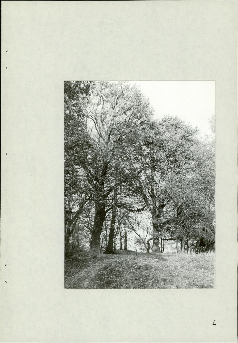 Ewidencja parkowa, skan nr 20
