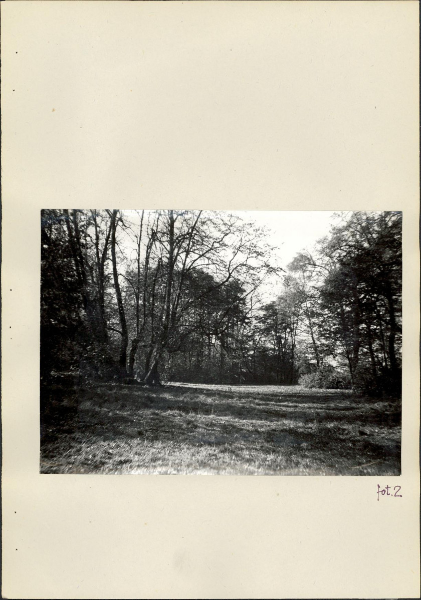 Ewidencja parkowa, skan nr 15