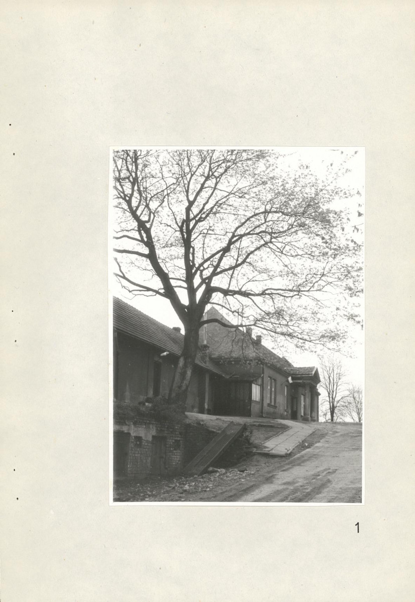 Ewidencja parkowa, skan nr 39