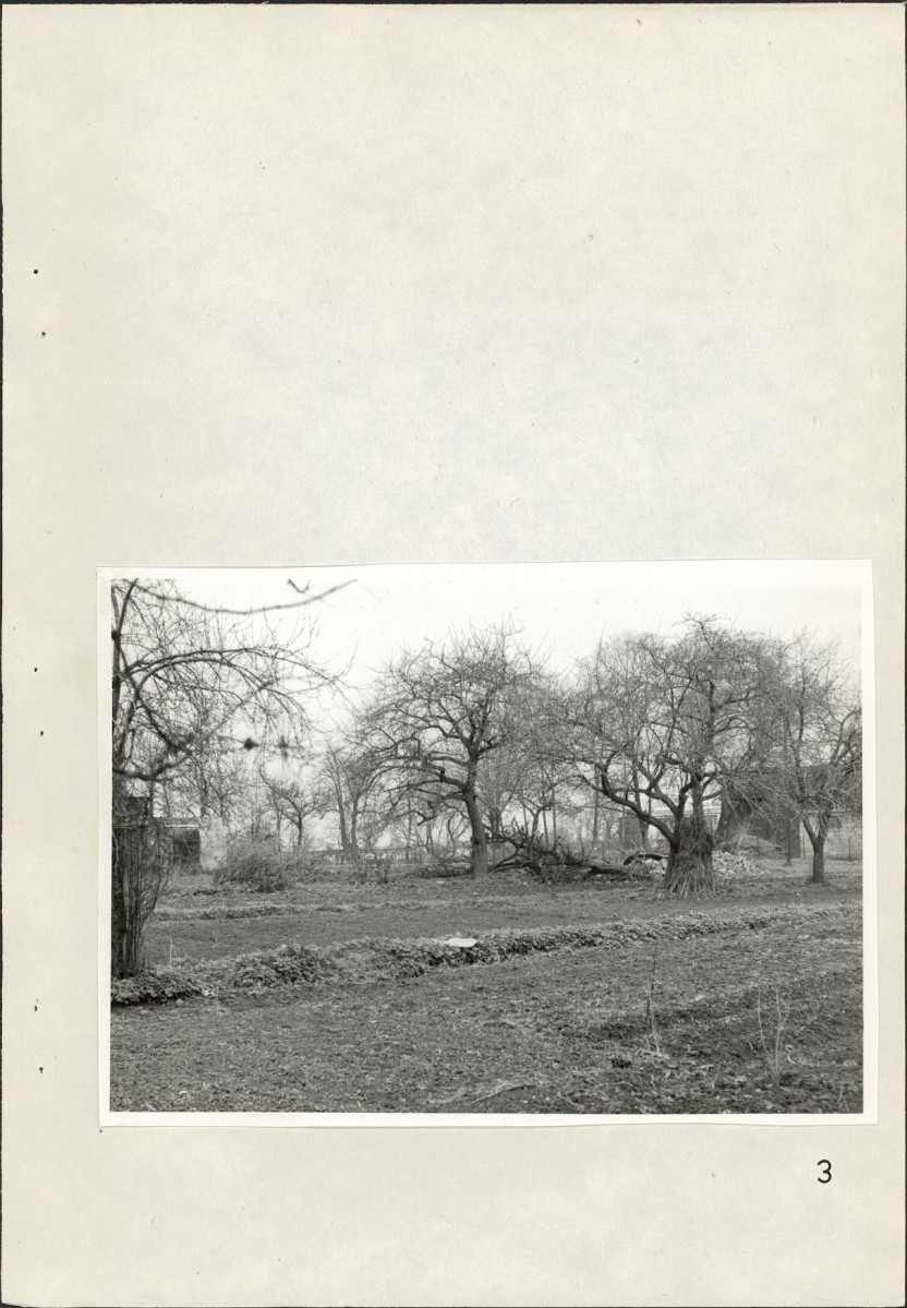 Ewidencja parkowa, skan nr 41