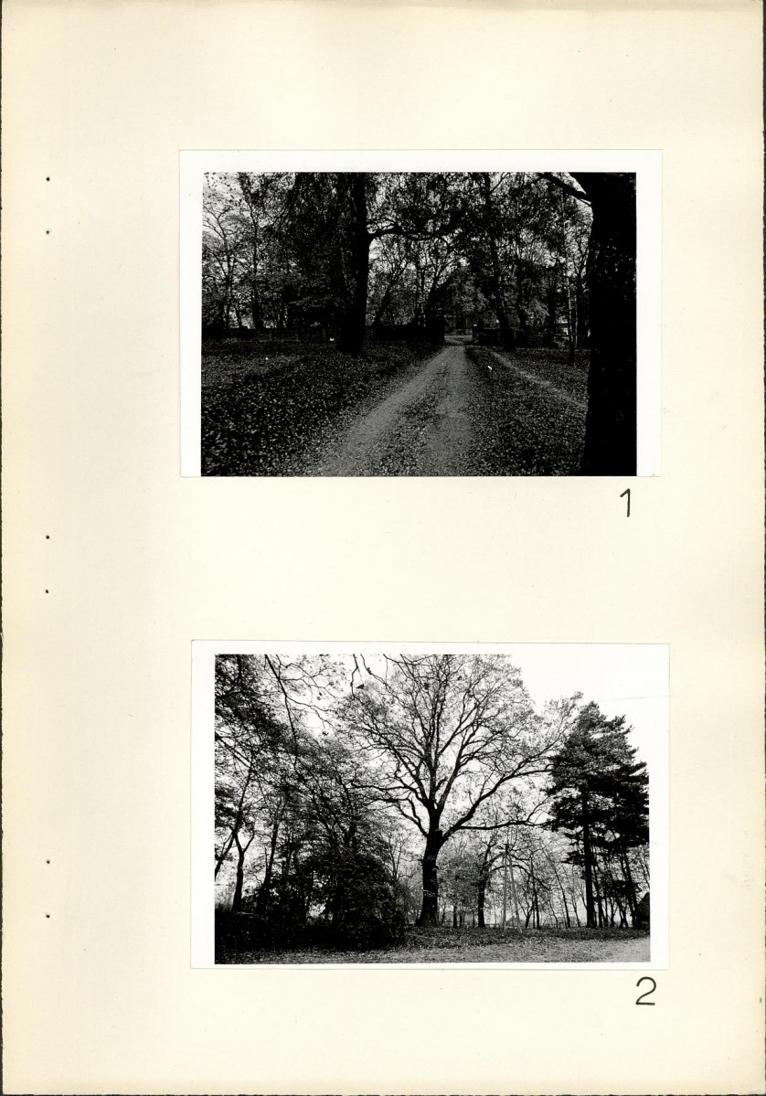 Ewidencja parkowa, skan nr 17