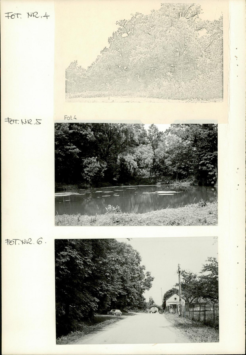 Ewidencja parkowa, skan nr 17