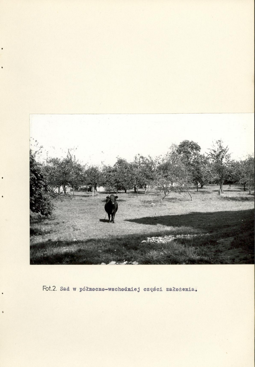 Ewidencja parkowa, skan nr 31