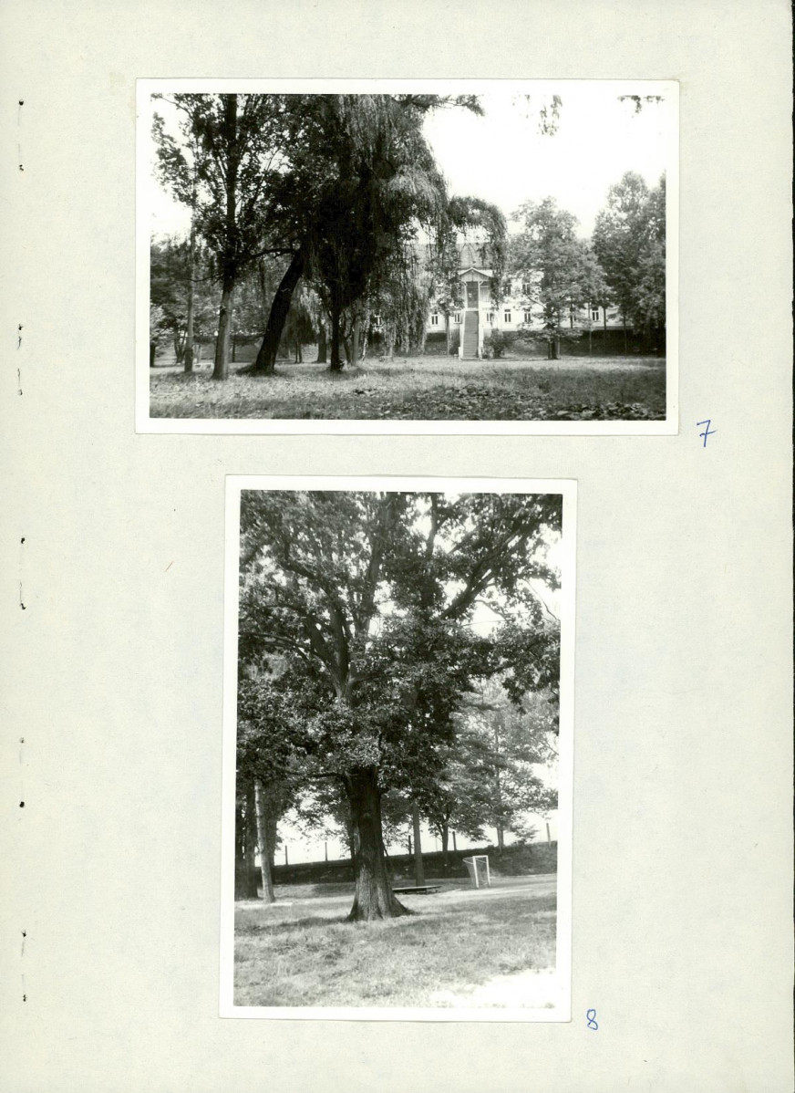 Ewidencja parkowa, skan nr 22