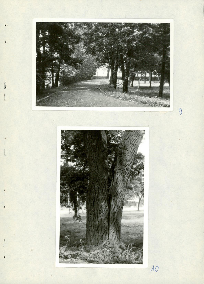 Ewidencja parkowa, skan nr 23