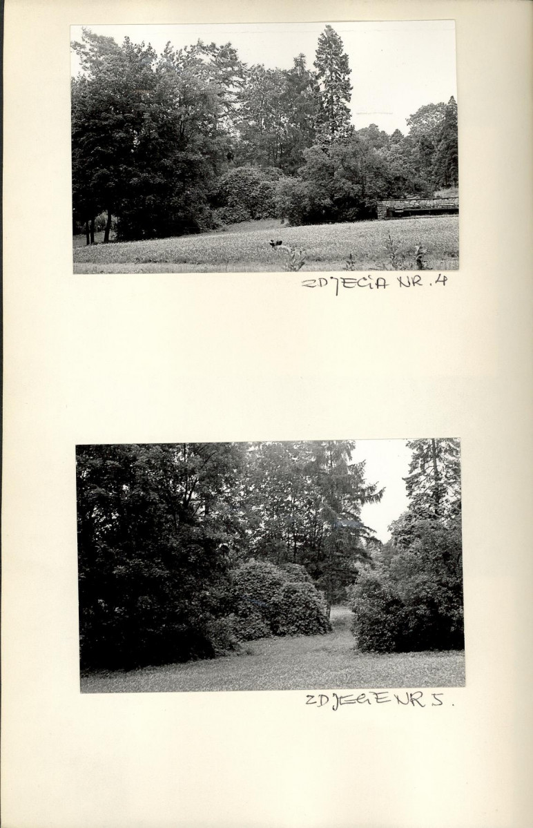 Ewidencja parkowa, skan nr 17