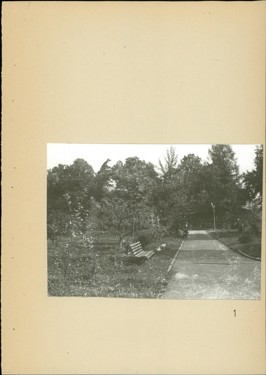 Ewidencja parkowa, skan nr 42