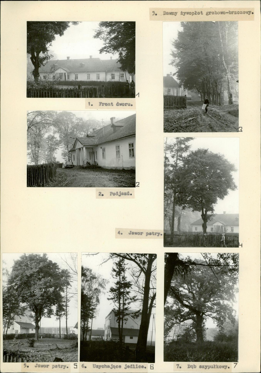 Ewidencja parkowa, skan nr 14
