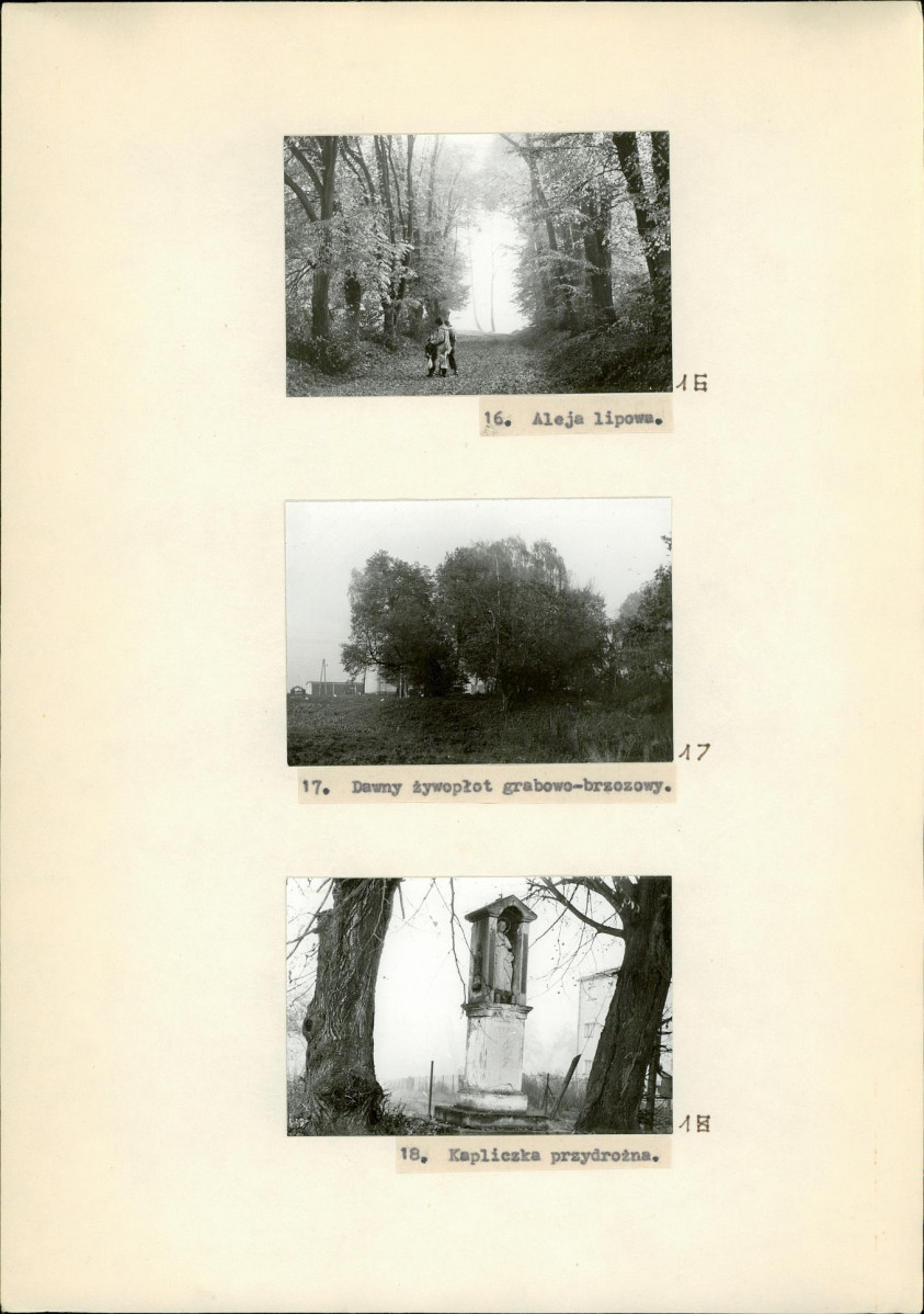 Ewidencja parkowa, skan nr 16
