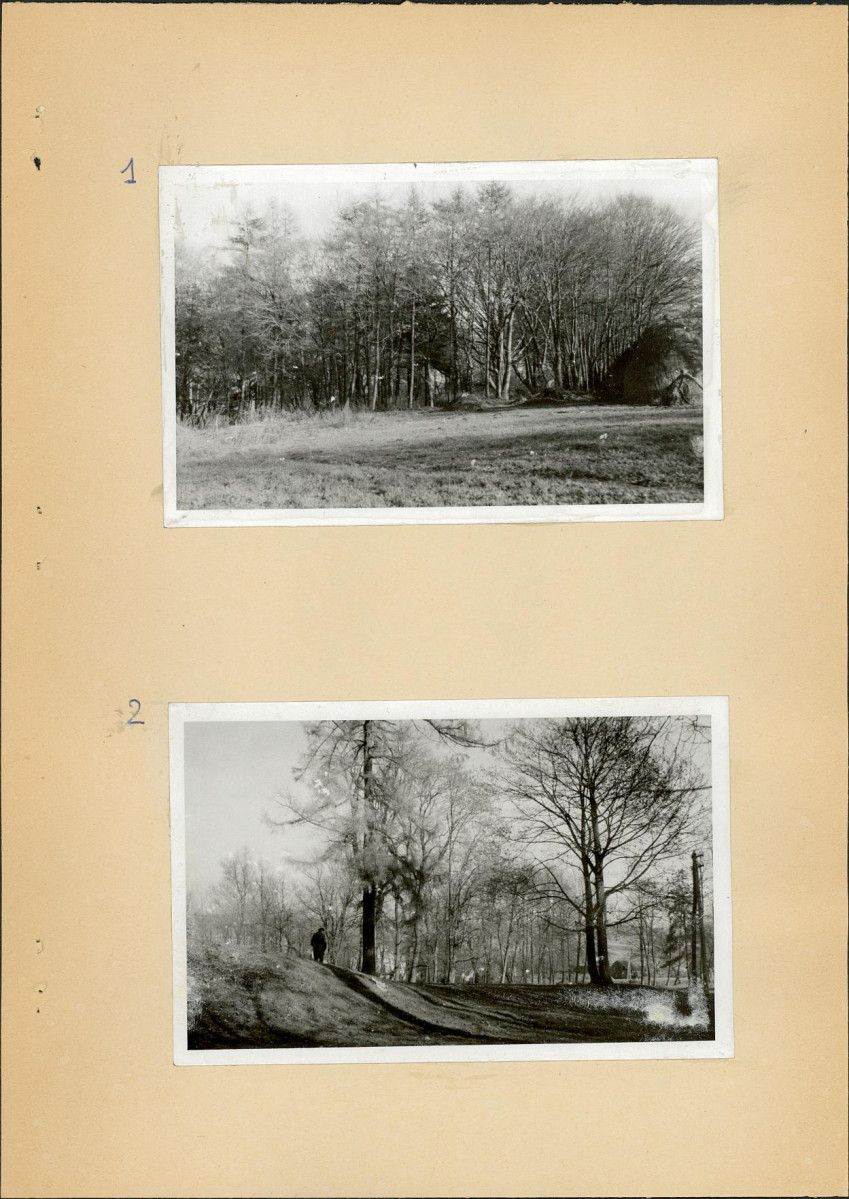 Ewidencja parkowa, skan nr 11