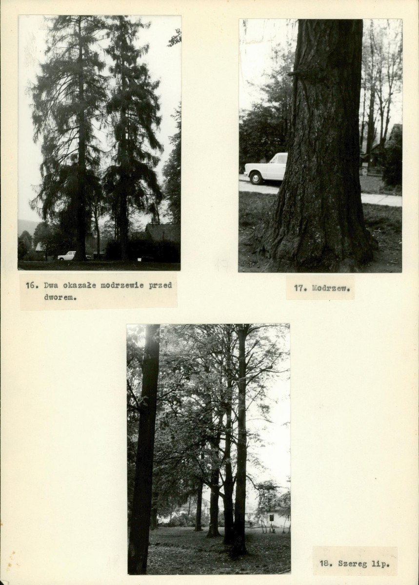 Ewidencja parkowa, skan nr 16