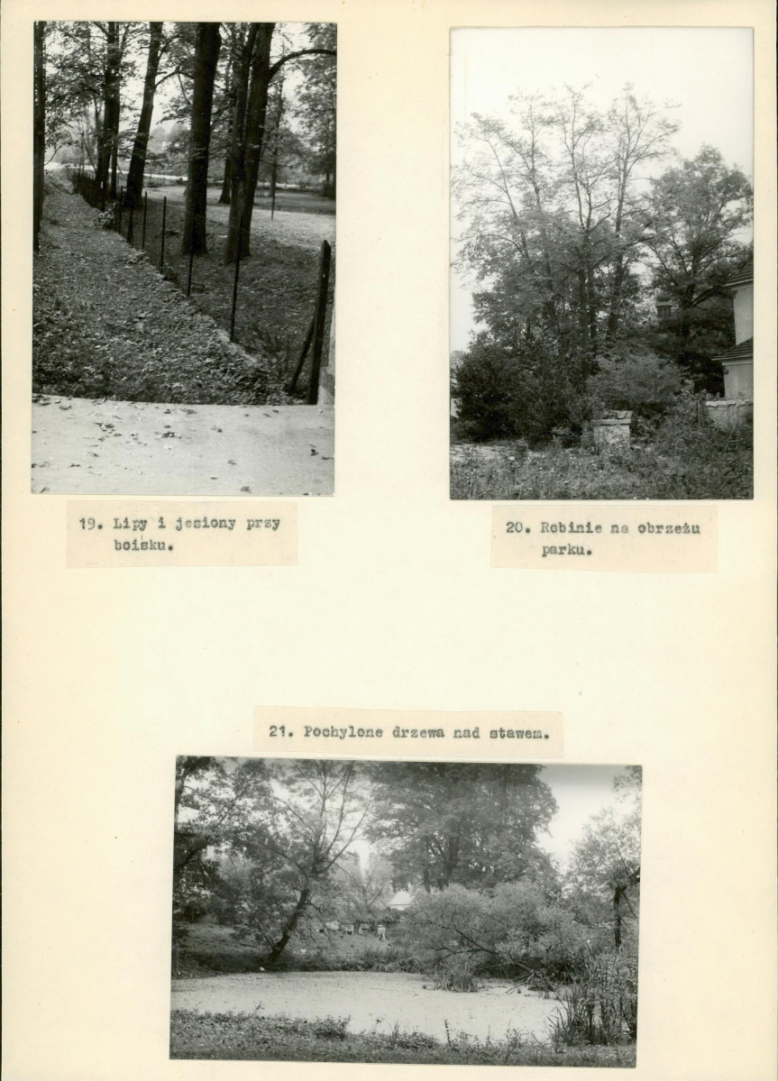 Ewidencja parkowa, skan nr 17