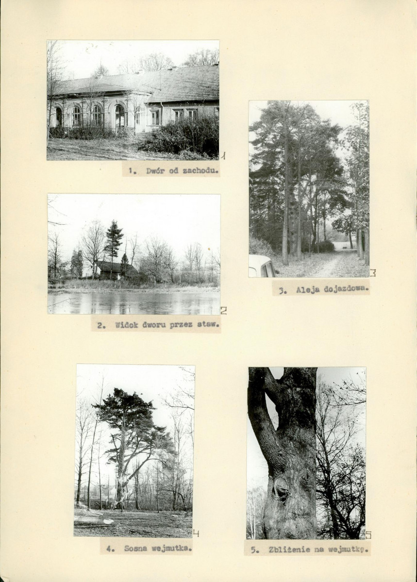 Ewidencja parkowa, skan nr 14