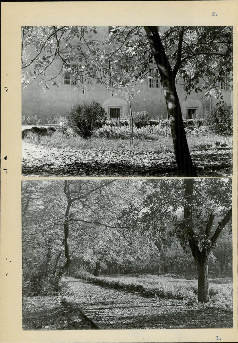 Ewidencja parkowa, skan nr 19