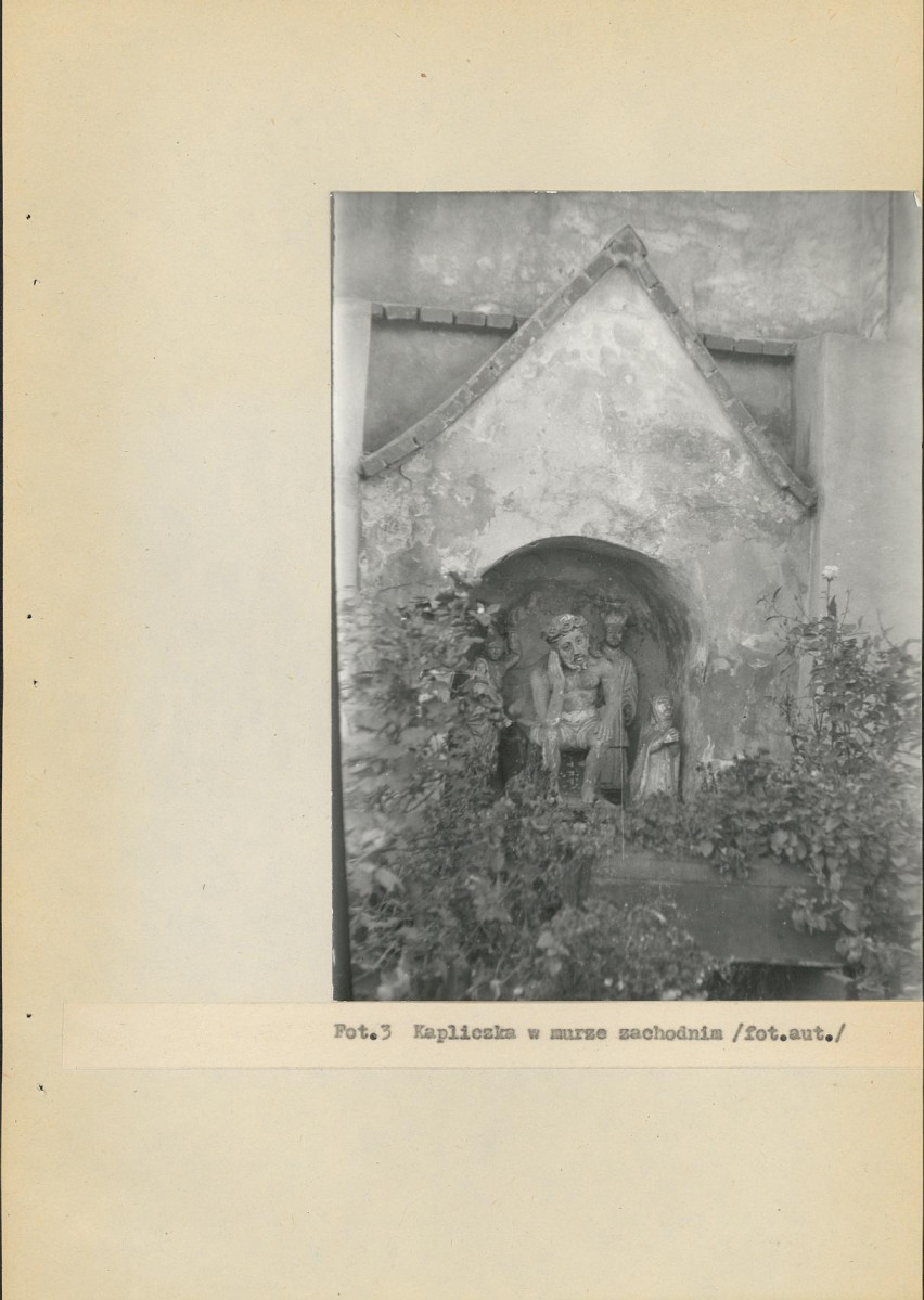 Ewidencja parkowa, skan nr 51