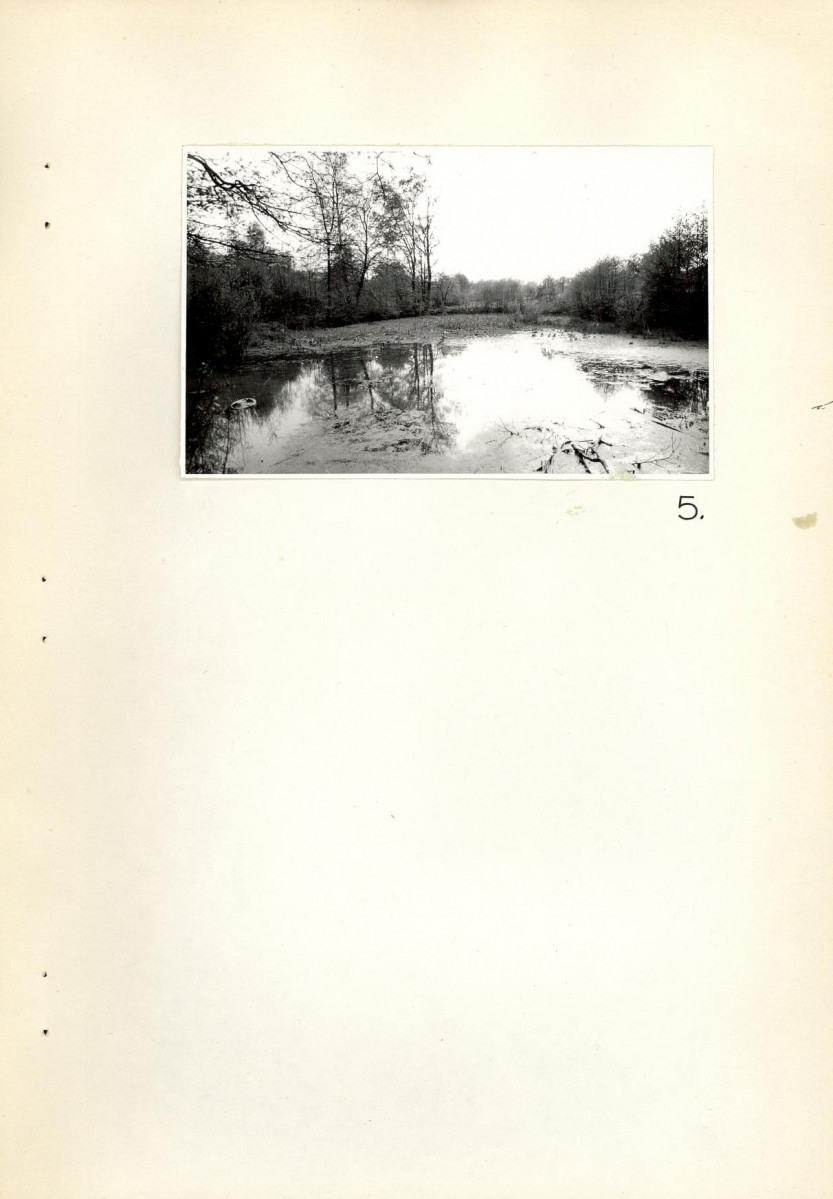 Ewidencja parkowa, skan nr 23