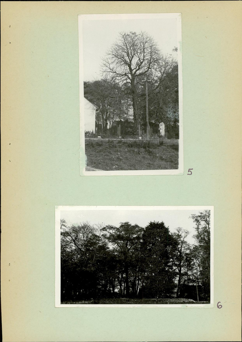 Ewidencja parkowa, skan nr 14