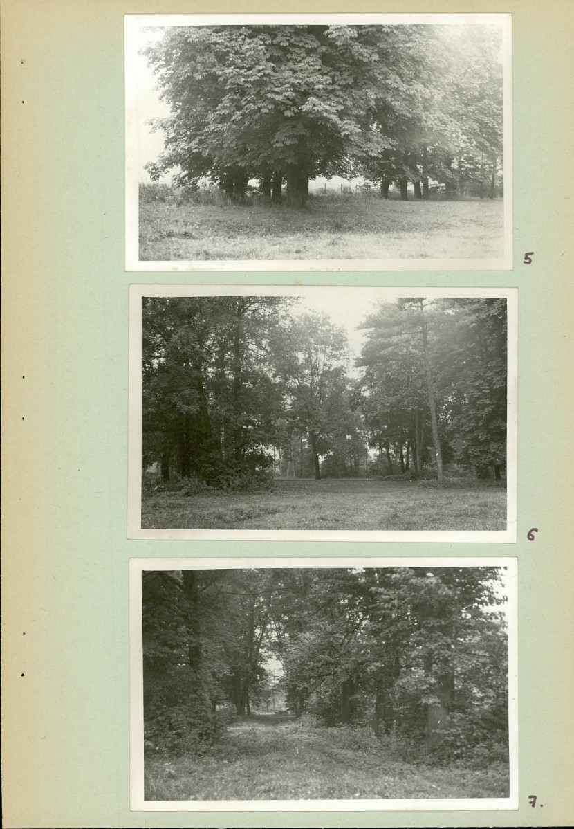 Ewidencja parkowa, skan nr 14