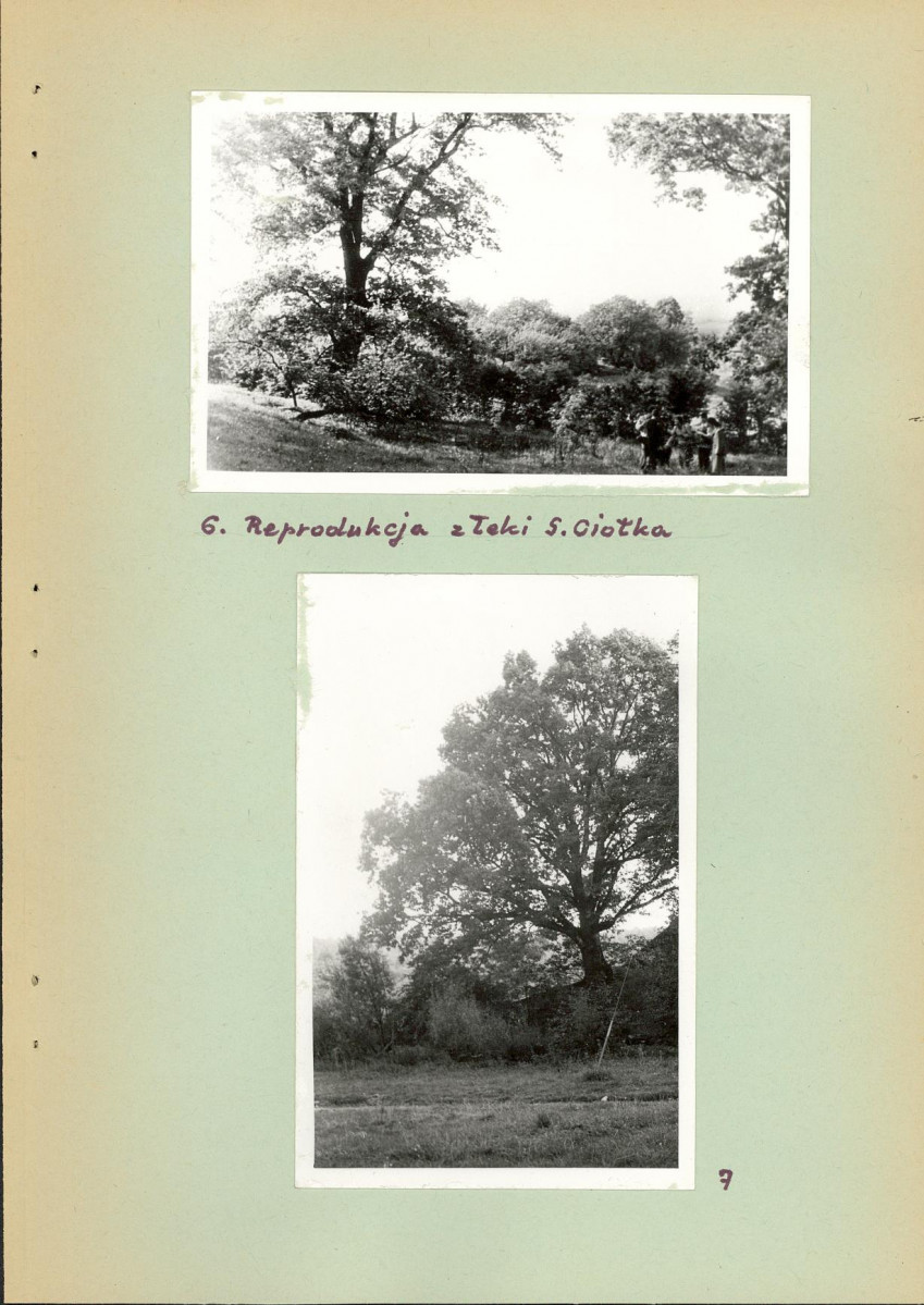 EP - Ewidencja parkowa, skan nr 16