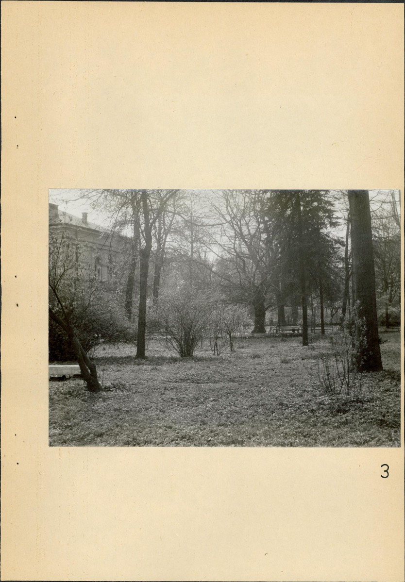 Ewidencja parkowa, skan nr 46