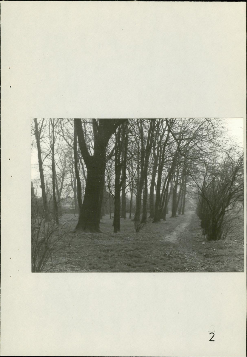 Ewidencja parkowa, skan nr 48