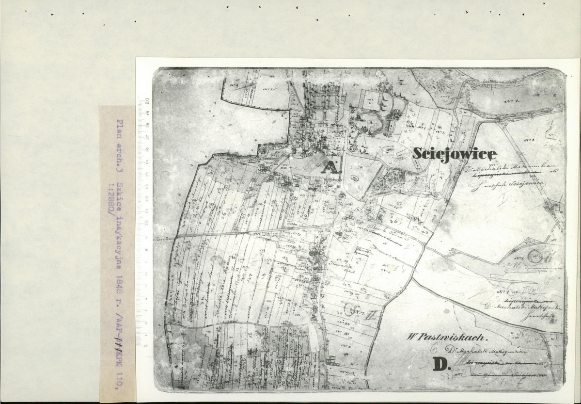 EP - Ewidencja parkowa, skan nr 19