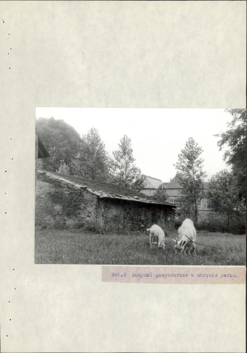 EP - Ewidencja parkowa, skan nr 46