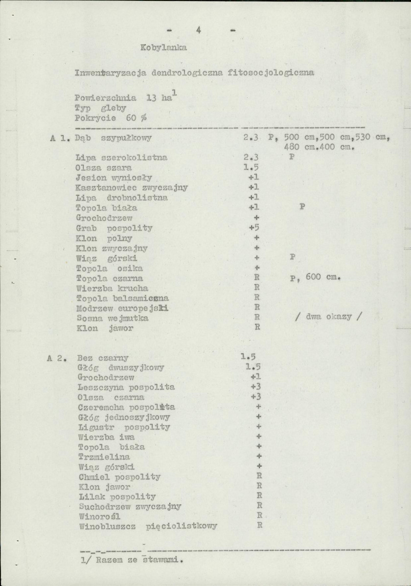 Ewidencja parkowa, skan nr 6